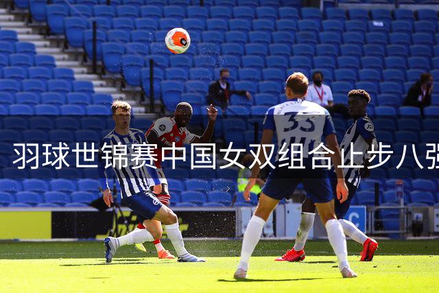 羽球世锦赛中国女双组合止步八强